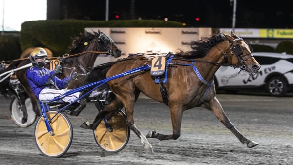 Foto: HESTEGUIDEN.COM