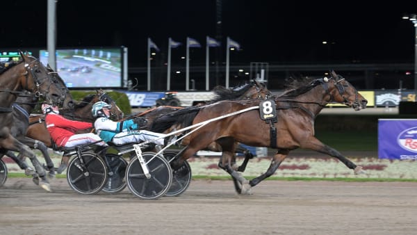 Foto: LARS JAKOBSSON / TR BILD