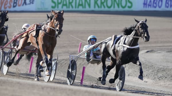 Foto: THOMAS BLOMQVIST / TR BILD