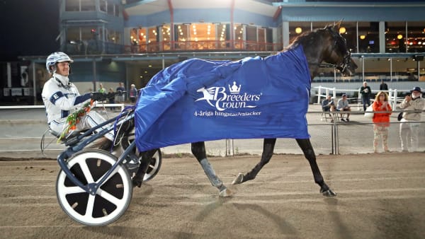 Foto: MARIA HOLMÉN / TR BILD