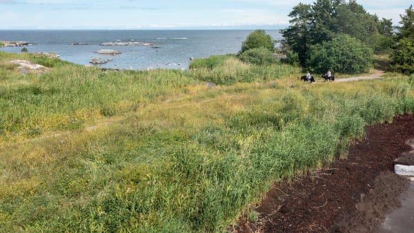 Foto: THOMAS BLOMQVIST/TR BILD