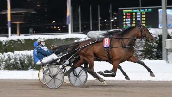 Foto: LARS JAKOBSSON / TR BILD