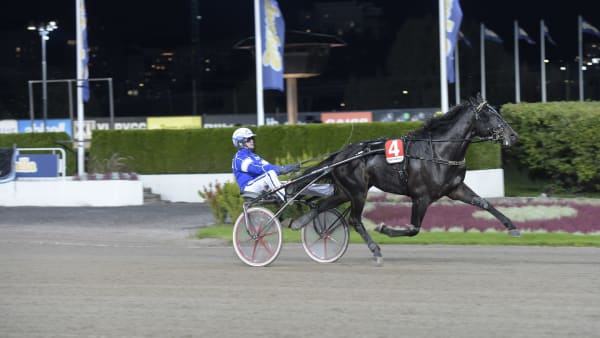 Foto: LARS JAKOBSSON / TR BILD