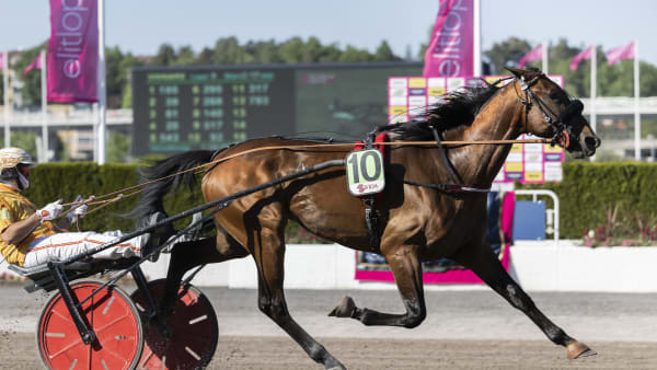 Foto: LENA EMMOTH / TR BILD