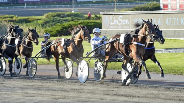 Foto: LARS JAKOBSSON / TR BILD