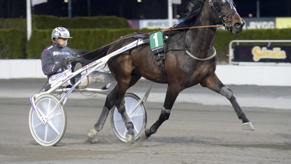 Foto: LARS JAKOBSSON / TR BILD