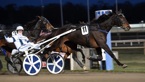 Foto: MALIN ALBINSSON / TR BILD