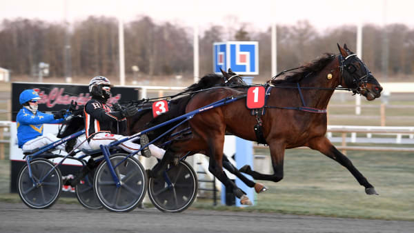 Foto: MALIN ALBINSSON / TR BILD