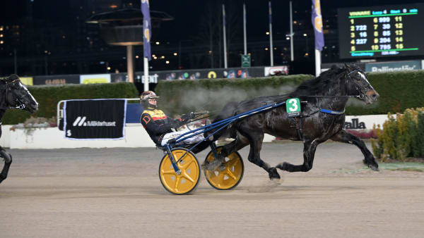 Foto: LARS JAKOBSSON / TR BILD