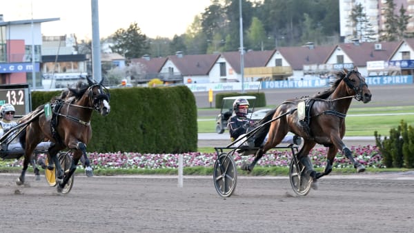 Foto: LARS JAKOBSSON / TR BILD