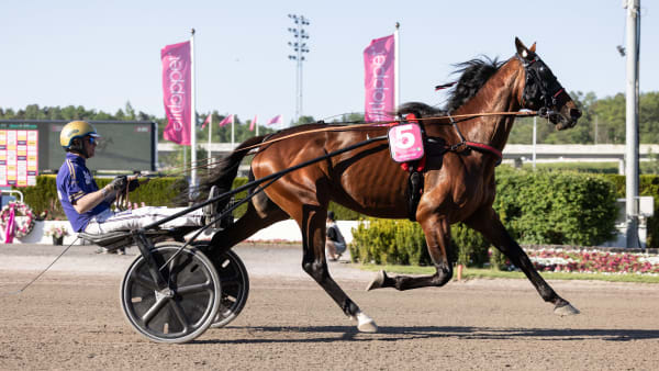 Foto: LENA EMMOTH / TR BILD