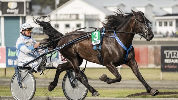 Foto: LENA EMMOTH / TR BILD