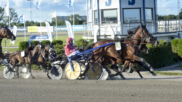 Foto: LARS JAKOBSSON / TR BILD