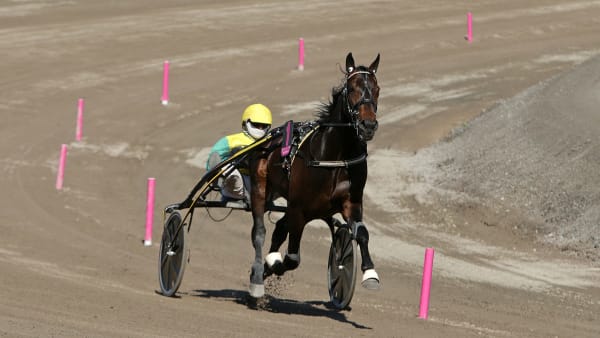 Foto: MATILDA ÖHRMAN / TR BILD