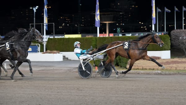 Foto: LARS JAKOBSSON / TR BILD