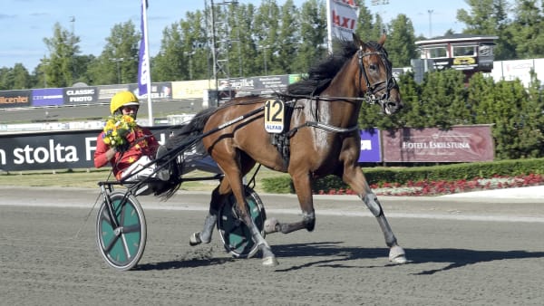 Foto: LARS JAKOBSSON / TR BILD