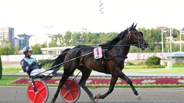 Foto: MARIA HOLMÉN / TR BILD