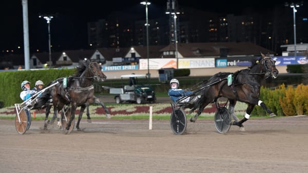 Foto: LARS JAKOBSSON / TR BILD