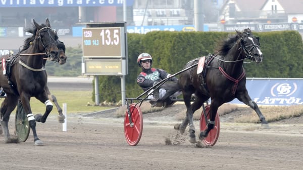 Foto: LARS JAKOBSSON / TR BILD