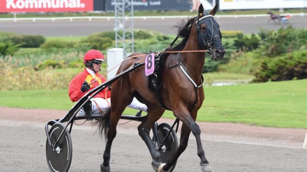 Foto: LARS JAKOBSSON / TR BILD