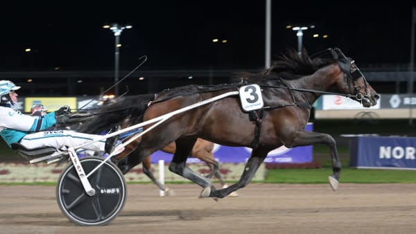 Foto: LARS JAKOBSSON / TR BILD