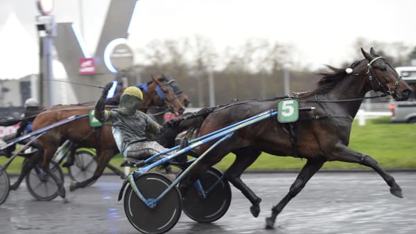 Foto: LARS JAKOBSSON / TR BILD