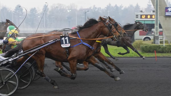 Foto: Jean-Luc Lamaère/TR Bild