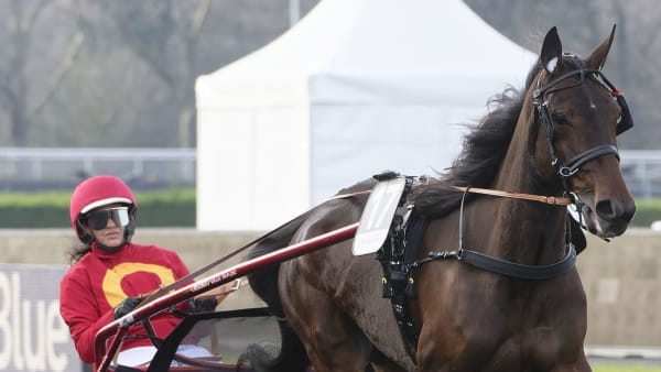 Foto: JEAN-LUC LAMAÈRE/TR BILD