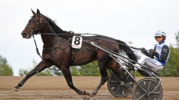 Foto: MALIN ALBINSSON / TR BILD