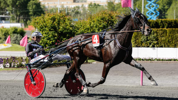 Foto: Lena Emmoth/TR Bild