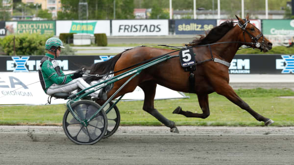 Foto: LENA EMMOTH / TR BILD