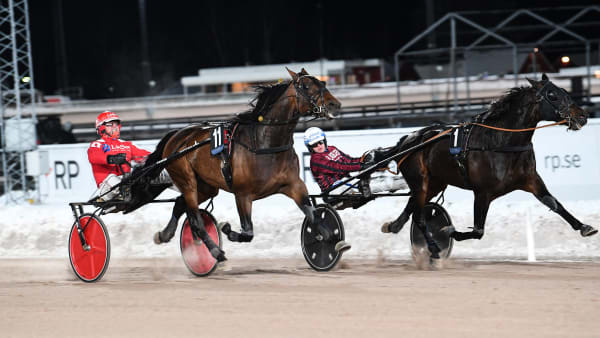 Foto: MALIN ALBINSSON / TR BILD