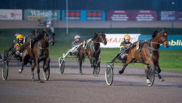 Foto: MIKAEL ROSENQUIST / TR BILD