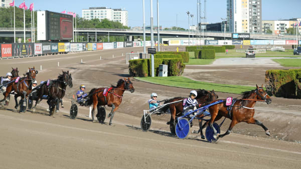 Foto: MARIA HOLMÉN/TR BILD