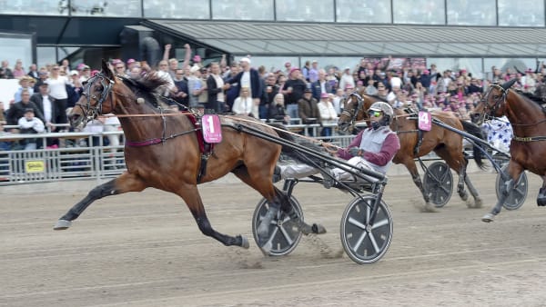 Foto: LARS JAKOBSSON / TR BILD