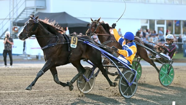 Foto: MARIA HOLMÉN / TR BILD