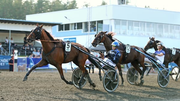 Foto: MARIA HOLMÉN / TR BILD