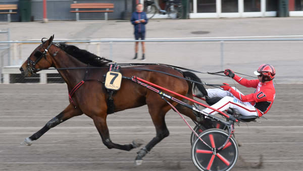 Foto: Lars B Persson.