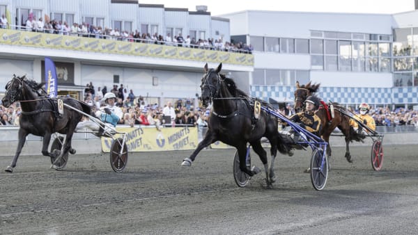 Foto: LENA EMMOTH / TR BILD