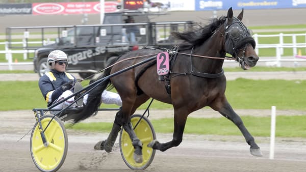 Foto: LARS JAKOBSSON / TR BILD