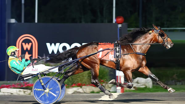 Foto: NEW IMAGE MEDIA