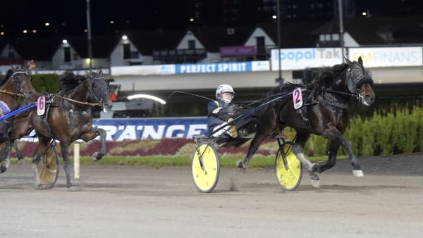 Foto: LARS JAKOBSSON / TR BILD