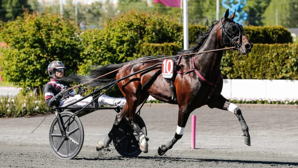 Foto: LENA EMMOTH / TR BILD