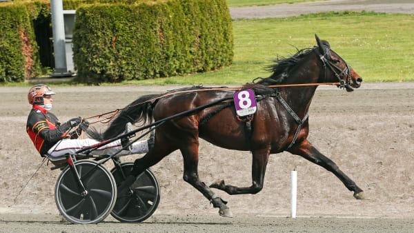 Foto: MATILDA ÖHRMAN / TR BILD