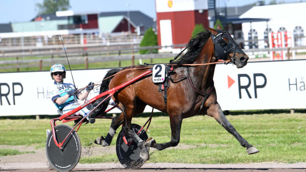 Foto: MALIN ALBINSSON / TR BILD