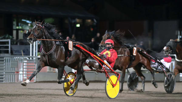 Foto: MARIA HOLMÉN / TR BILD