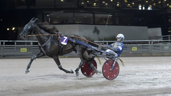 Foto: LARS JAKOBSSON / TR BILD