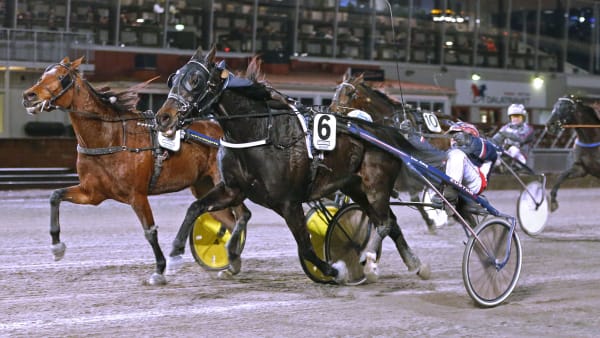 Foto: MARIA HOLMÉN / TR BILD