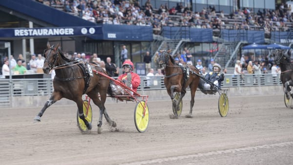 Foto: LARS JAKOBSSON / TR BILD