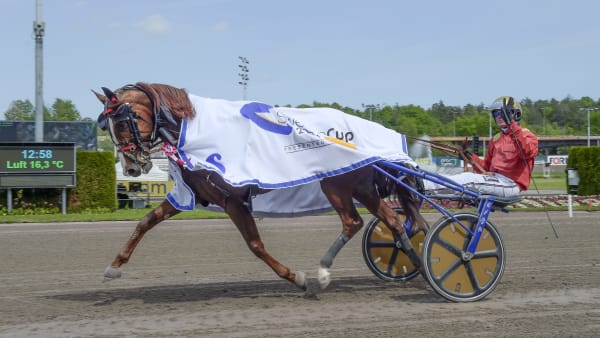 Foto: LARS JAKOBSSON / TR BILD